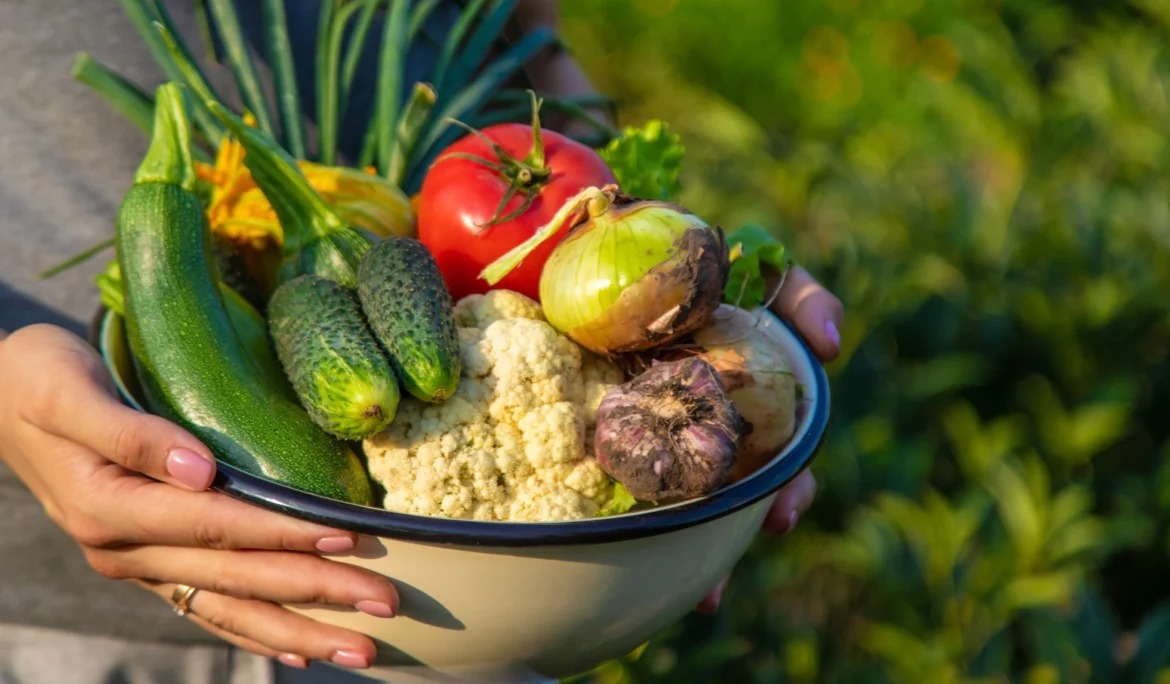 Como Ser Vegetariano Saudável: Dicas e Estratégias Essenciais