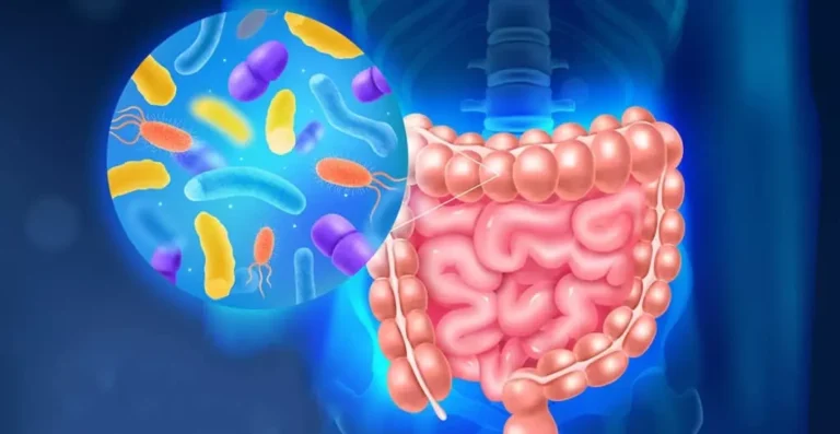 Modulação Intestinal